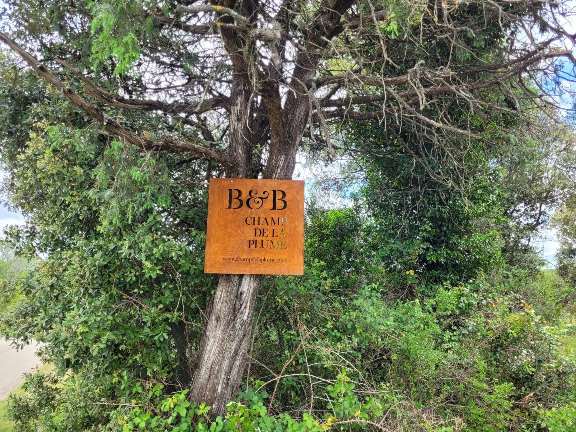 B&B Champdelaplume Barjac  Exteriör bild